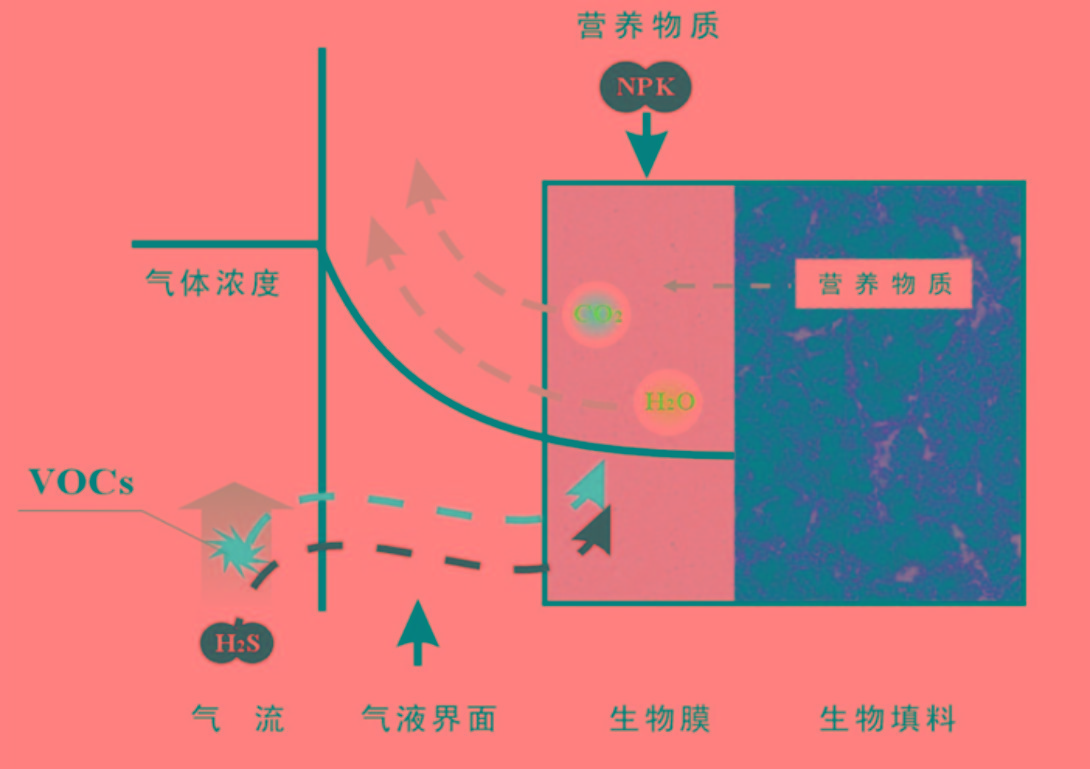 生物除臭技術01.jpg